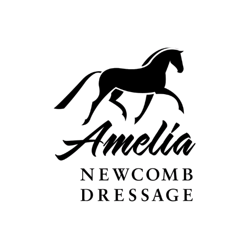 Black silhouette of a trotting horse above the words Amelia Newcomb Dressage in elegant script and bold capital letters, on a light gray background.