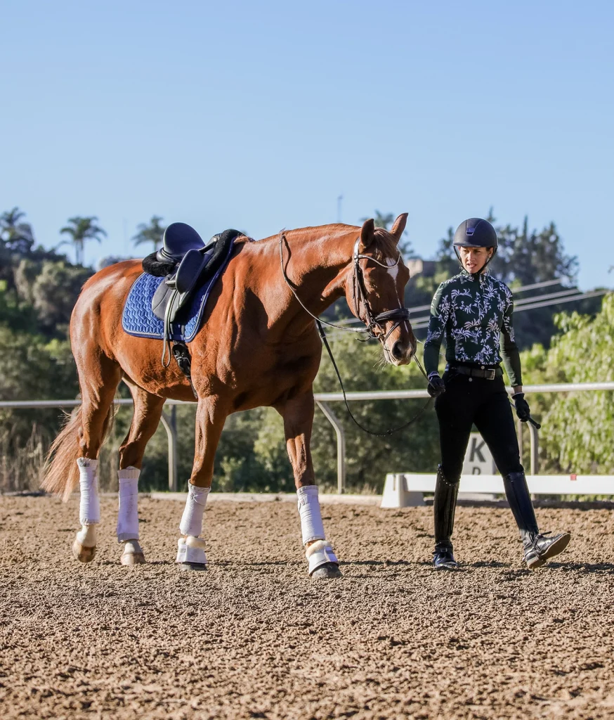 Amelia walking and leading her chestnut dressage horse after a ride.