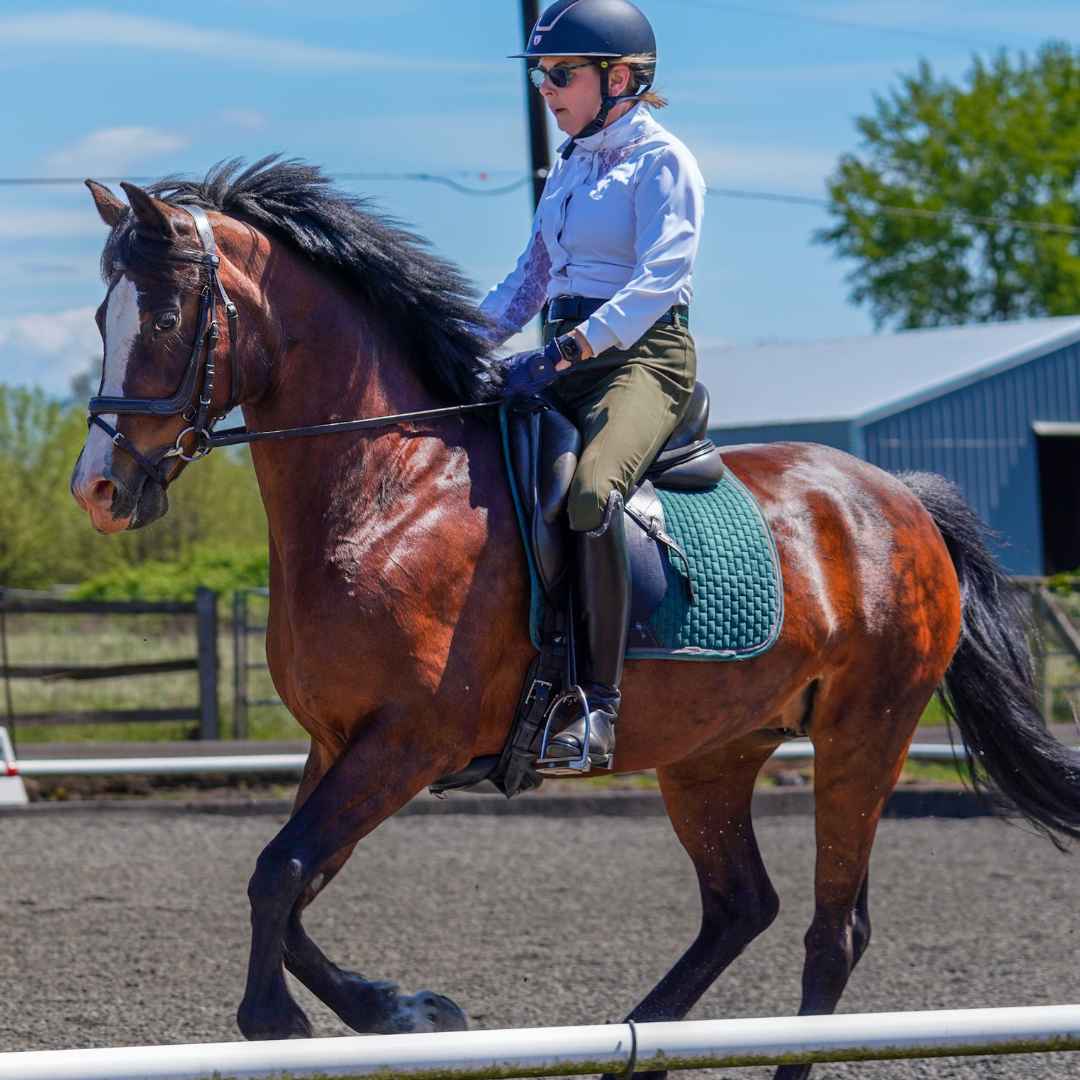 A rider in casual attire, wearing a helmet and sunglasses, guides a bay horse through a fenced outdoor arena under clear skies. The pair appears to be working on flatwork fundamentals rather than executing an advanced dressage movement.