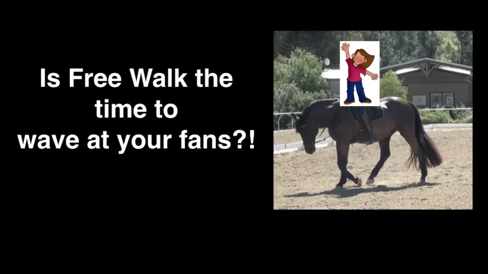 is free walk the time to wave at your fans